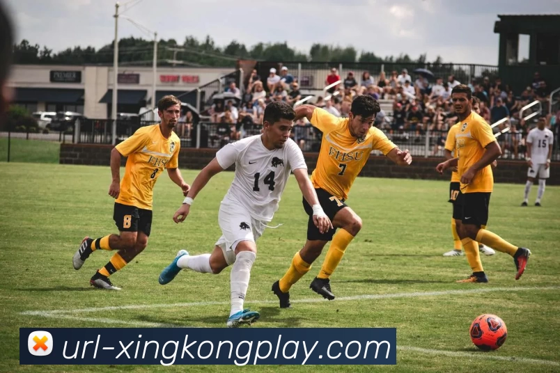 星空体育APP 高清赛事图